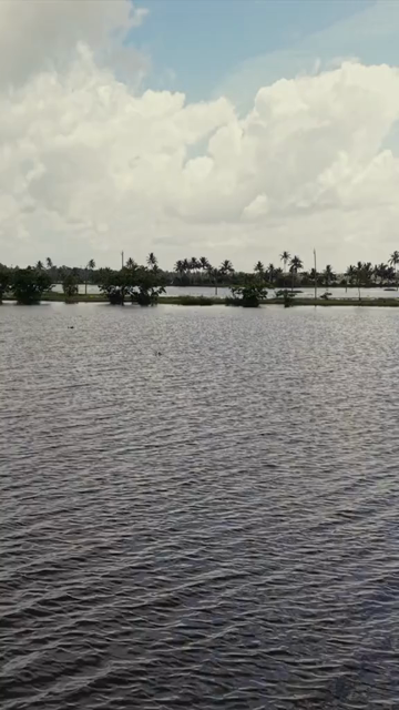 Vertical Aerial View of Veliyanad Road and Kerala Backwaters Alappuzha Kerala