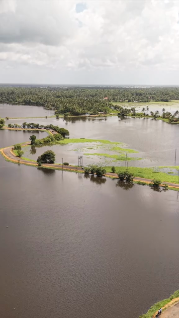 Vertical Aerial View of Veliyanad Road and Kerala Backwaters Alappuzha Kerala