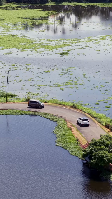 Vertical Aerial View of Veliyanad Road and Kerala Backwaters Alappuzha Kerala
