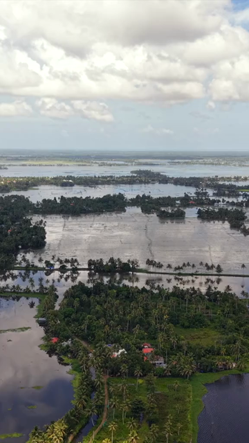 Vertical Aerial View of Veliyanad Road and Kerala Backwaters Alappuzha Kerala