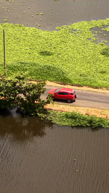 Vertical Aerial View of Veliyanad Road and Kerala Backwaters Alappuzha Kerala