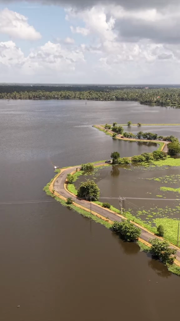 Vertical Aerial View of Veliyanad Road and Kerala Backwaters Alappuzha Kerala