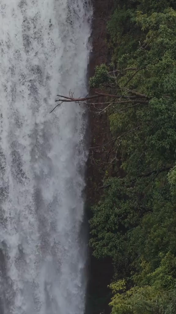 Vertical Aerial View of Waterfall in Misty Green Hills of Maharashtra