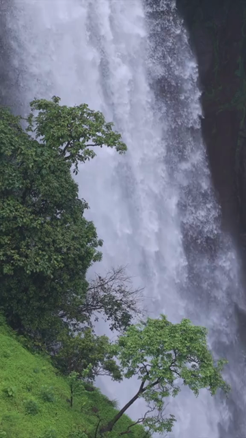 Vertical Aerial View of Waterfall in Misty Green Hills of Maharashtra