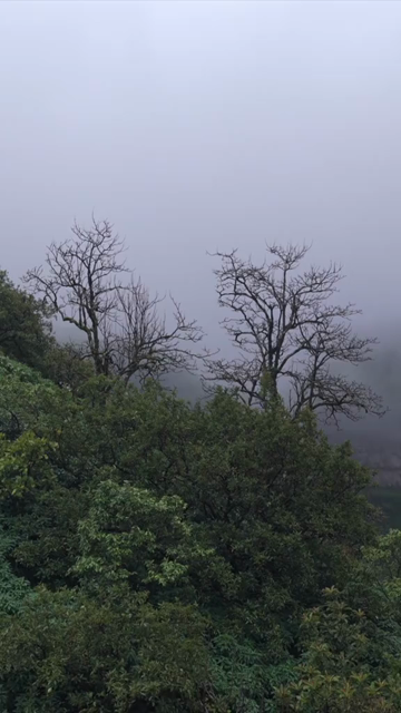 Vertical Aerial View of Waterfall in Misty Green Hills of Maharashtra