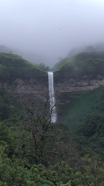 Vertical Aerial View of Waterfall in Misty Green Hills of Maharashtra