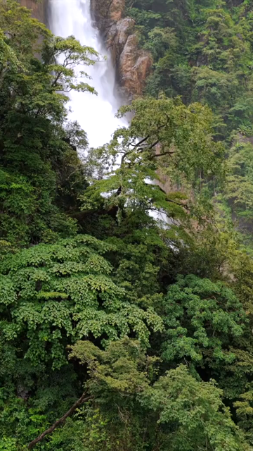 Vertical Aerial View of Waterfall in Western Ghats Forest Karnataka India