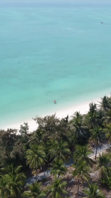 Vertical Aerial View of Turquoise Lagoon and White Sand Beach in Lakshadweep India