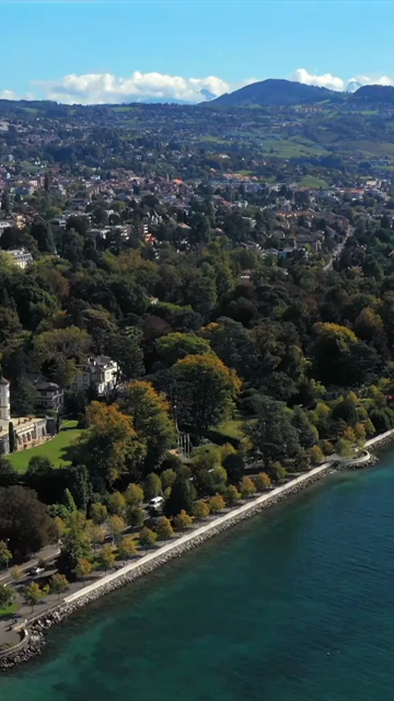 Vertical Aerial View of Zurich Cityscape in Switzerland