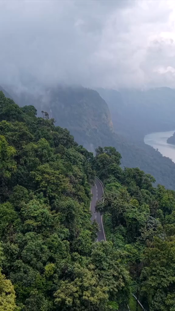 Vertical Aerial View of Sharavathi Valley, River, Misty Forested Mountains Karnataka