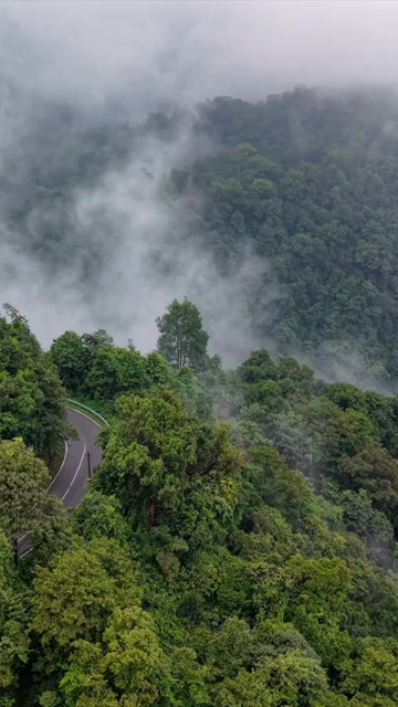 Vertical Aerial View of Sharavathi Valley, River, Misty Forested Mountains Karnataka