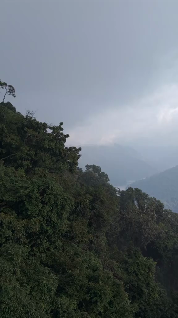 Vertical Aerial View of Sharavathi Valley, River, Misty Forested Mountains Karnataka