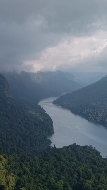 Vertical Aerial View of Sharavathi Valley, River, Misty Forested Mountains Karnataka