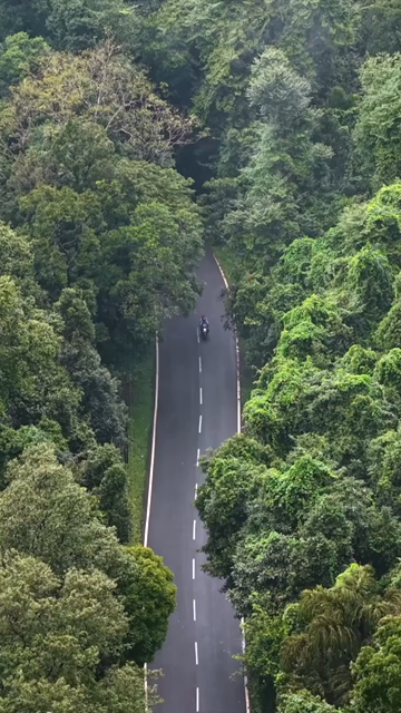 Vertical Aerial View of Sharavathi Valley, River, Misty Forested Mountains Karnataka