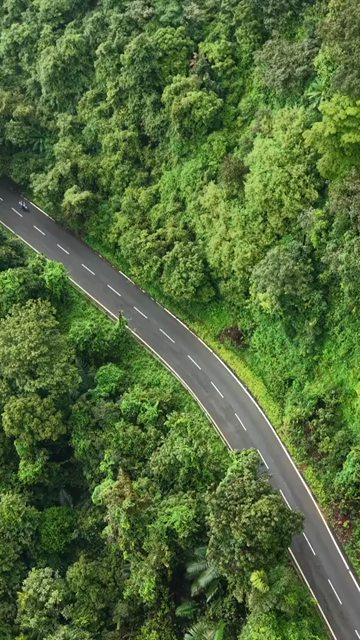 Vertical Aerial View of Sharavathi Valley, River, Misty Forested Mountains Karnataka