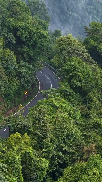Vertical Aerial View of Sharavathi Valley, River, Misty Forested Mountains Karnataka