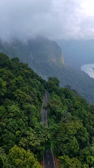 Vertical Aerial View of Sharavathi Valley, River, Misty Forested Mountains Karnataka