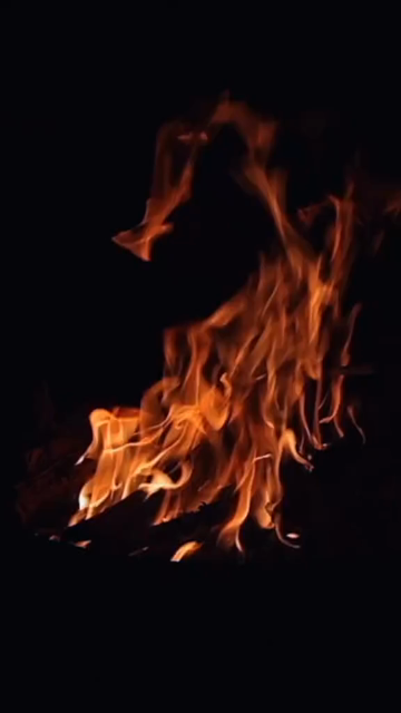 Vertical Close Up of Bonfire Flames and Glowing Embers