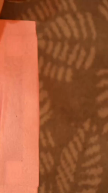 Vertical Close Up of Indian Bride Showing Mehendi Designs