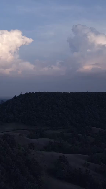 Vertical Evening Shot of Pratapgarh Hills and Forest Landscape Rajasthan India