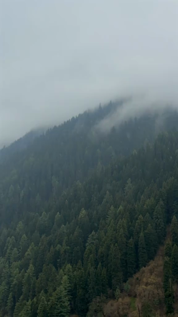 Vertical Shot of Pahalgam Kashmir Mountain Landscape Jammu and Kashmir India
