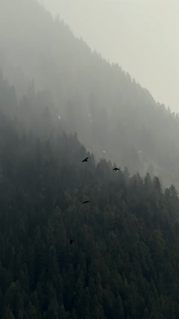 Vertical Shot of Pahalgam Kashmir Mountain Landscape Jammu and Kashmir India