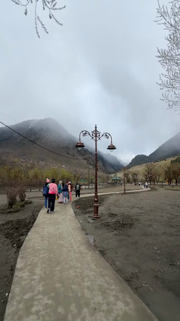 Vertical Shot of Pahalgam Kashmir Mountain Landscape Jammu and Kashmir India