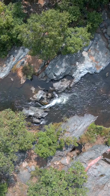 Vertical Shot of Rocky Stream and Lush Forest Landscape Pratapgarh Rajasthan