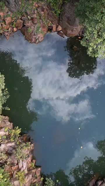 Vertical Shot of Rocky Stream and Lush Forest Landscape Pratapgarh Rajasthan