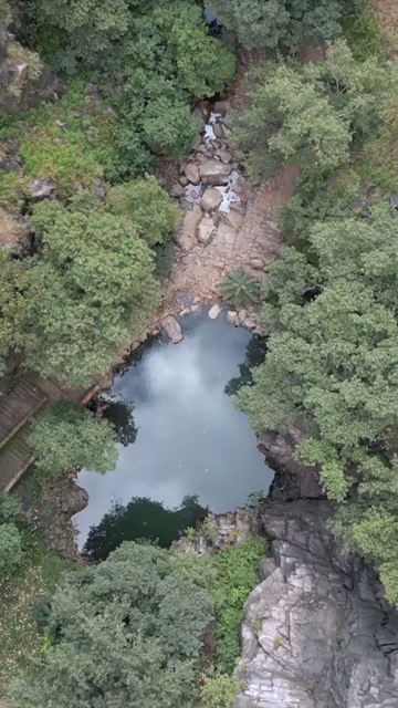 Vertical Shot of Rocky Stream and Lush Forest Landscape Pratapgarh Rajasthan