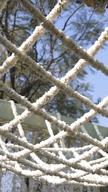 Vertical Slow Motion Shot of Indian Wedding Venue Decoration in India