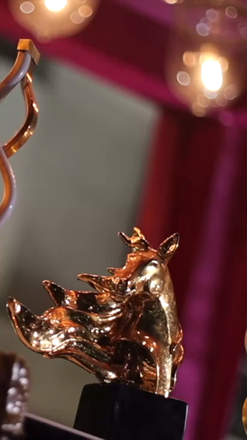 Vertical Slow Motion Shot of Indian Wedding Venue Decoration in India