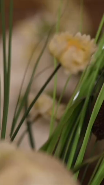 Vertical Slow Motion Shot of Indian Wedding Venue Decoration in India