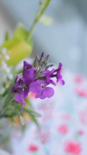 Vertical Slow Motion Shot of Indian Wedding Venue Decoration in India