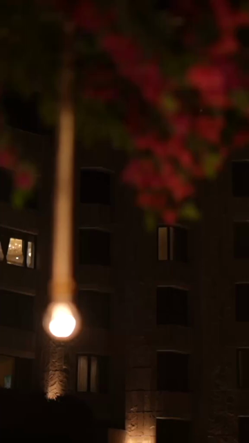 Vertical Slow Motion Shot of Indian Wedding Venue Decoration in India