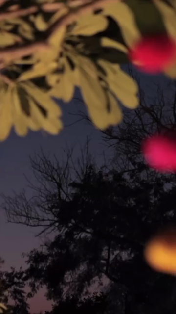 Vertical Slow Motion Shot of Indian Wedding Venue Decoration in India