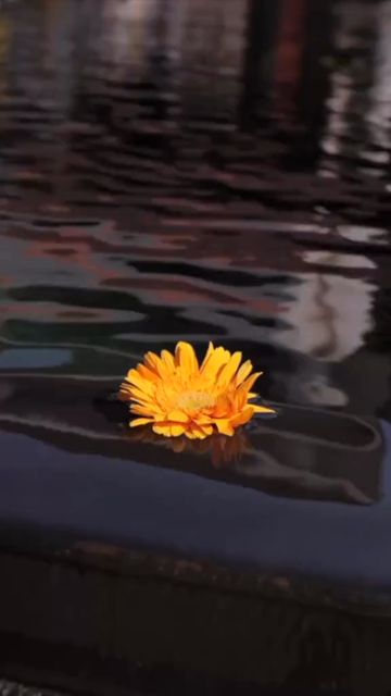 Vertical Slow Motion Shot of Indian Wedding Venue Decoration in India