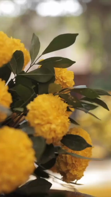 Vertical Slow Motion Shot of Indian Wedding Venue Decoration in India