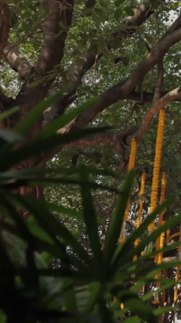 Vertical Slow Motion Shot of Indian Wedding Venue Decoration in India