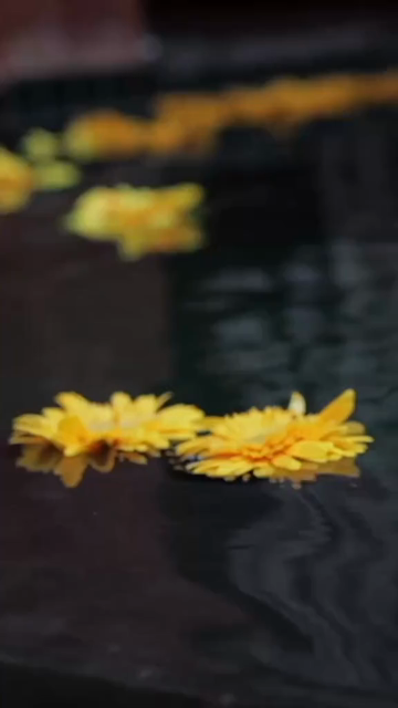Vertical Slow Motion Shot of Indian Wedding Venue Decoration in India