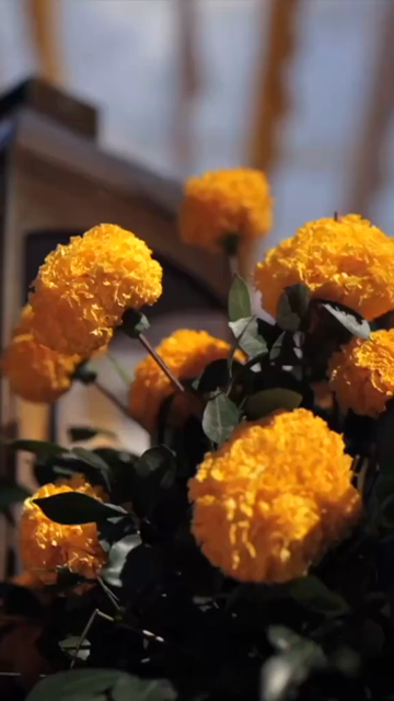 Vertical Slow Motion Shot of Indian Wedding Venue Decoration in India