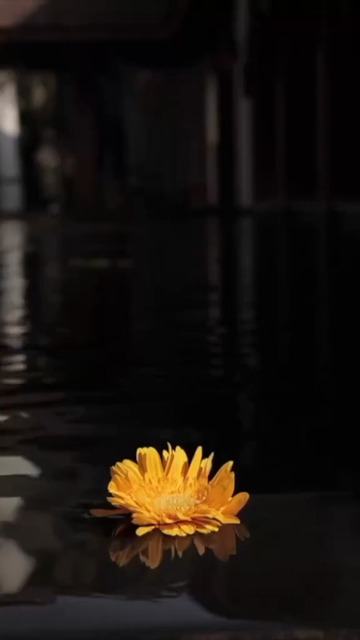 Vertical Slow Motion Shot of Indian Wedding Venue Decoration in India