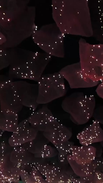 Vertical Slow Motion Shot of Indian Wedding Venue Decoration in India