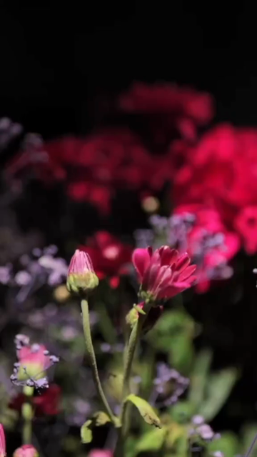 Vertical Slow Motion Shot of Indian Wedding Venue Decoration in India