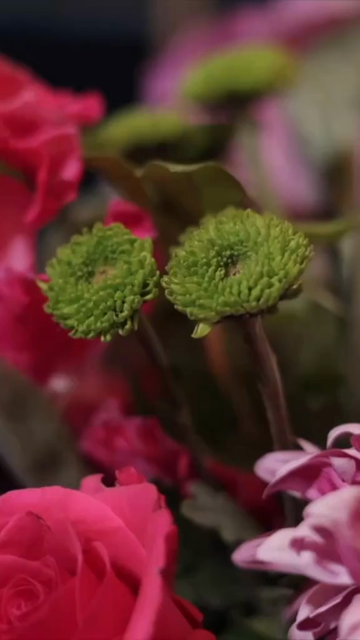 Vertical Slow Motion Shot of Indian Wedding Venue Decoration in India