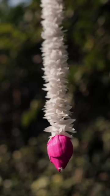 Vertical Slow Motion Shot of Indian Wedding Venue Decoration in India