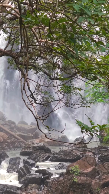 Vertical View of Sathodi Waterfall in Karnataka India