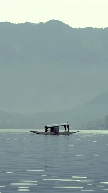 Vertical View of Shikara Boat on Dal Lake Srinagar Kashmir India
