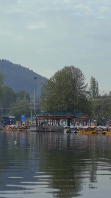 Vertical View of Shikara Boat on Dal Lake Srinagar Kashmir India