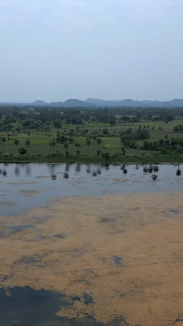 Vertical Aerial View of Lush Green Hills Forests and Water Bodies in Pratapgarh Rajasthan India